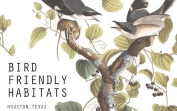 Bird-Friendly Habitats